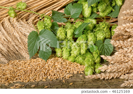 Hops and raw material for beer production. Hops and raw material for beer production. 46125169