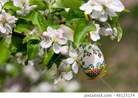Easter egss hanging on the twig of apple tree  46125174