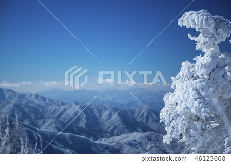 Korean Winter Scenery 46125608