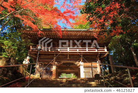 Shikoku Reijo Okubo-ji Temple秋葉 Shikoku Reijo Okubo-ji Temple秋葉 46125827
