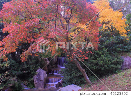 Autumn leaves of Kagawa irrigation memorial park 46125892