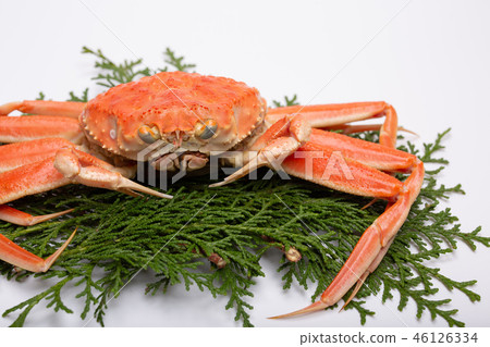 螃蟹精工蟹螃蟹山高螃蟹Coppé螃蟹成分 螃蟹精工蟹螃蟹山高螃蟹Coppé螃蟹成分 46126334