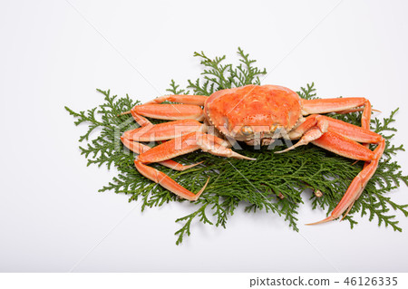 螃蟹精工蟹螃蟹山高螃蟹Coppé螃蟹成分 46126335