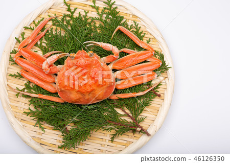 螃蟹精工蟹螃蟹山高螃蟹Coppé螃蟹成分 46126350