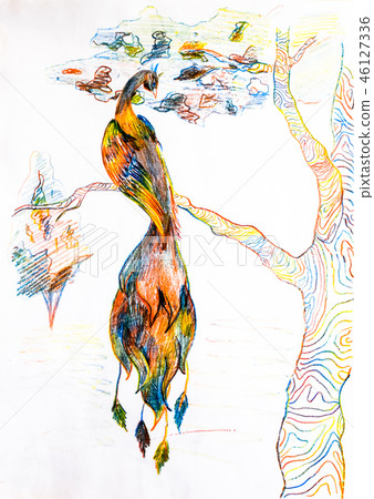 Heat Bird on a tree branch. Drawing with colored pencils. Heat Bird on a tree branch. Drawing with colored pencils. 46127336