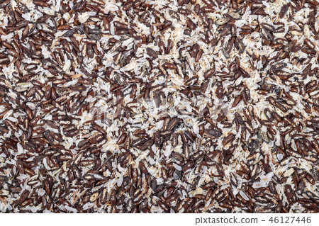 Mix of Plantago seeds and husks. Mix of Plantago seeds and husks. 46127446