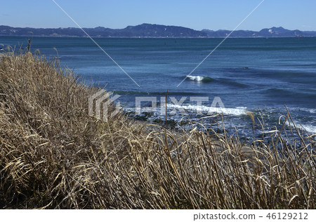 winter sea 46129212