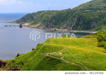 大野龜 大野龜 46129388