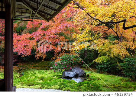 Autumn leaves in Kyoto Autumn leaves in Kyoto 46129754