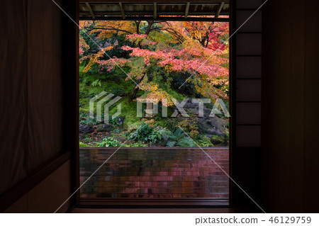 Autumn leaves in Kyoto Autumn leaves in Kyoto 46129759