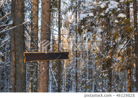 Blank label for text. Dawn frosty morning. Winter landscape of frosty trees, white snow and blue sky Blank label for text. Dawn frosty morning. Winter landscape of frosty trees, white snow and blue sky 46129828