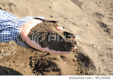 Field soil 46130488