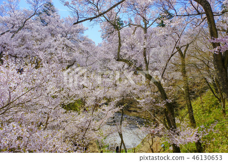Takato Castle Park 2018 Takato Castle Park 2018 46130653