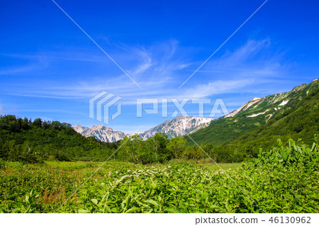 Tsugaike Nature Park 46130962