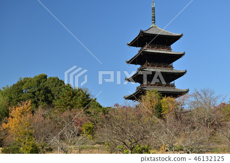 Fall birch branch five-storied pagoda 46132125