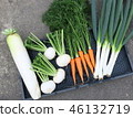 Winter vegetables set 46132719
