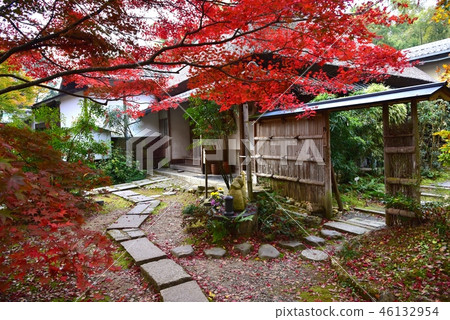 Kyoto, straight finger Kyoto, straight finger 46132954