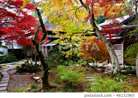 京都，直指 46132965