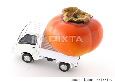 柿子收穫 46133129