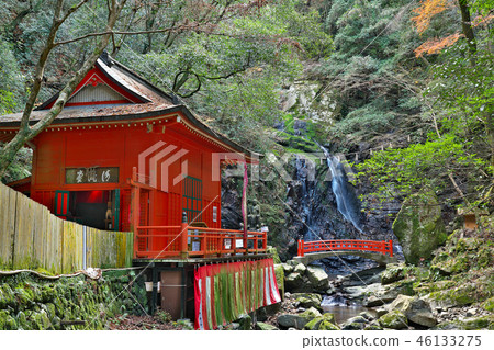 [犬鳴山七葉T寺清y和人的瀑布]大阪府泉佐野市8衝 46133275
