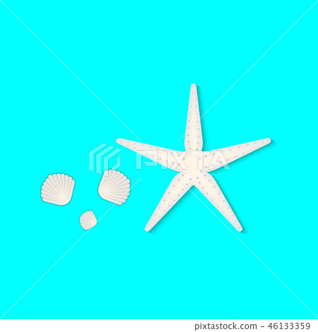 Starfish and shell elements for summer theme Starfish and shell elements for summer theme 46133359