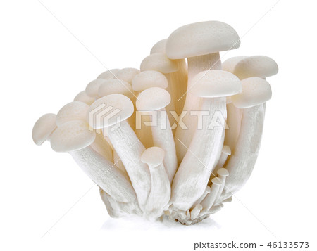 shimeji mushroom or white beech mushrooms isolated 46133573