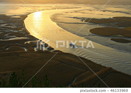 Suncheon Bay, Suncheon Bay wetland, natural heritage, scenic spot No. 41, autumn, sunset 46133969
