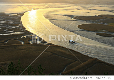 Suncheon Bay, Suncheon Bay wetland, natural heritage, scenic spot No. 41, autumn, sunset 46133970