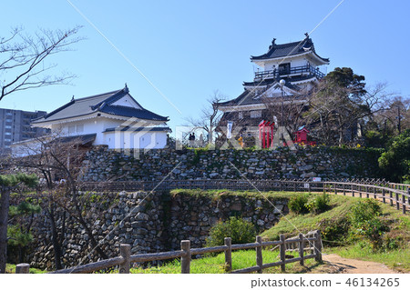 Hamamatsu Castle 46134265