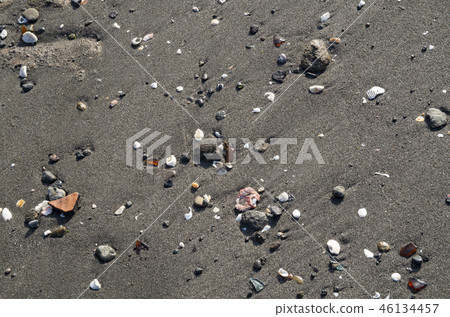 Seashell and pebble beach 46134457