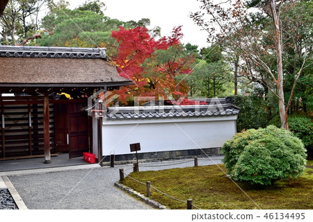 京都,Myoshinji Dezoin 京都,Myoshinji Dezoin 46134495