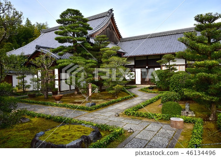京都,Myoshinji Dezoin 京都,Myoshinji Dezoin 46134496