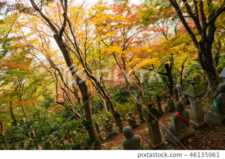 Autumn leaves of Changgyeongsa Temple 46135061