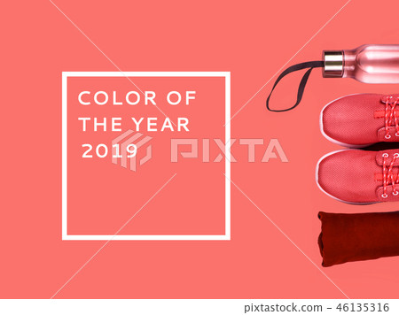 Creative flat lay of sport and fitness equipments on Living Coral background. Creative flat lay of sport and fitness equipments on Living Coral background. 46135316