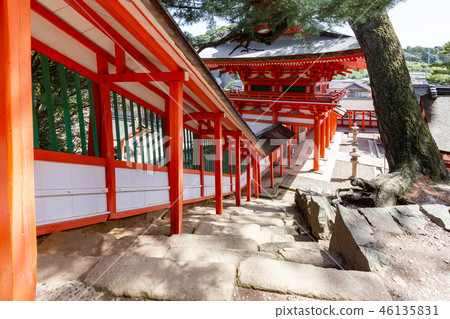 Nichiomisaki Shrine Corridor-The beautiful shrine that manages the night- 46135831
