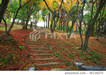 浪漫麗水,海,港口城市,Fumutour,旅行,海景觀 浪漫麗水,海,港口城市,Fumutour,旅行,海景觀 46136075