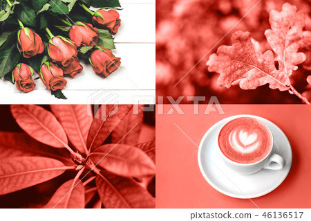 Collage in Living Coral color. Trendy color concept of the year. 46136517