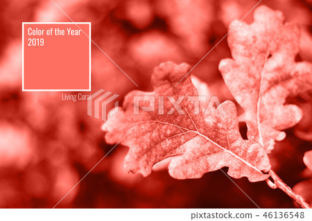 Natural background in Living Coral color. Natural background in Living Coral color. 46136548