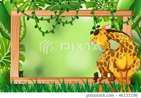 Giraffe on green nature frame 46137206