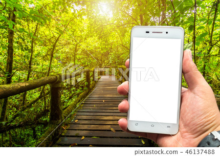 smartphone blurred images in Angkha Nature Trail 46137488