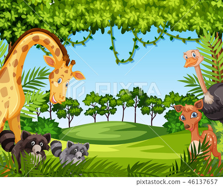 Wild animal in nature Wild animal in nature 46137657
