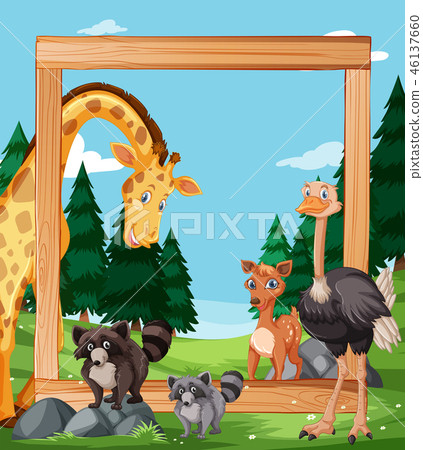 Wild animal on wooden frame Wild animal on wooden frame 46137660