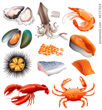 Set of seafood on white background Set of seafood on white background 46137824