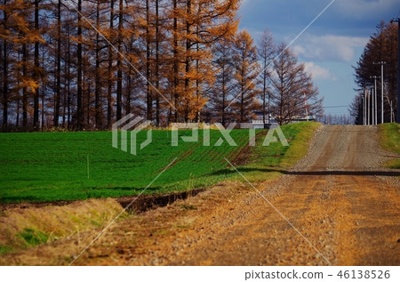 北海道的鄉間小路 北海道的鄉間小路 46138526
