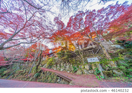 秋葉在Iwatanido公園 46140232
