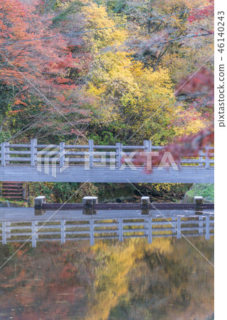 秋葉在Iwatanido公園 46140243