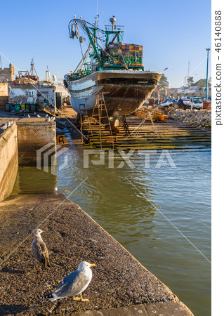 Gull in the old fishing port of Essaouira Gull in the old fishing port of Essaouira 46140888