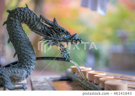Autumn leaves of Otada shrine 46141843
