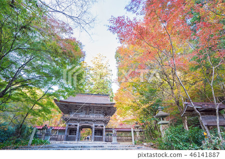 Autumn leaves of Otada shrine Autumn leaves of Otada shrine 46141887