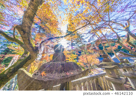 Autumn leaves of Taniyama Hakuenji 46142110